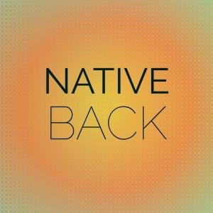 Listen to Native Back song with lyrics from Josy Winda