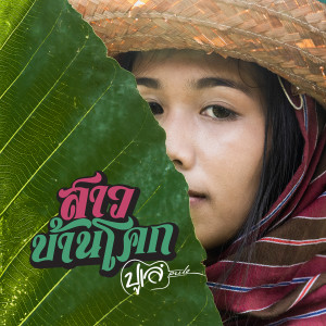 อัลบัม สาวบ้านโคก ศิลปิน ปูเล่ สวรรค์นา