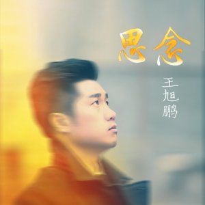 Listen to Sai Nian song with lyrics from 王旭鹏