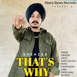 Dengarkan lagu THAT'S WHY nyanyian Shehzad dengan lirik