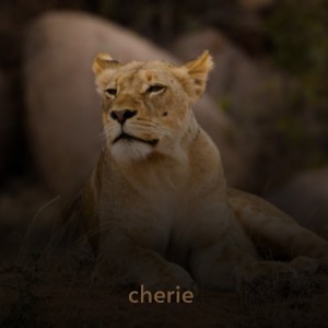 Album Cherie from Various Artists