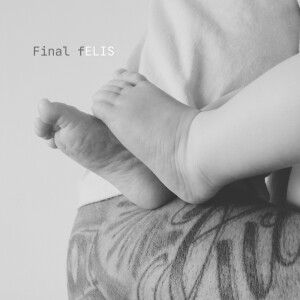 Listen to Final fELIS song with lyrics from Biorki
