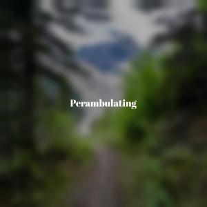 Album Perambulating from 