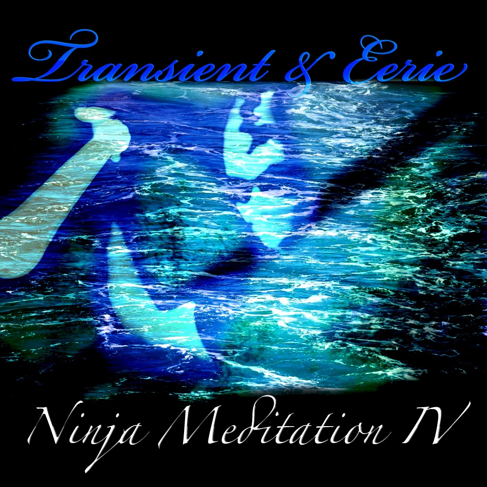 Ninja Meditation IV