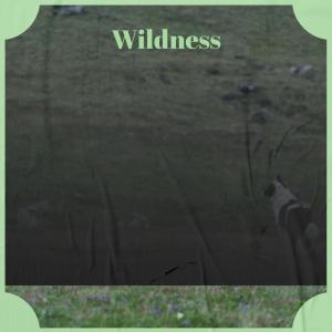 Dengarkan lagu Fare Into nyanyian Deano Deby dengan lirik