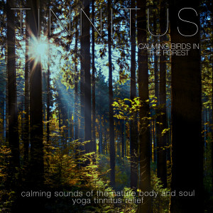 Album Calming Birds in the Forest (Calming Sounds of the Nature Body and Soul Yoga Tinnitus Relief) from Tinnitus