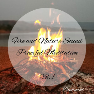 Binaural Landscapes的專輯Binaural: Fire and Nature Sound Peaceful Meditation Vol. 1 - 3 Hours