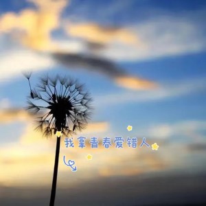 收聽可可佳的我拿青春愛錯人歌詞歌曲