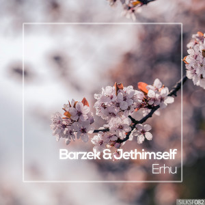Album Erhu from Barzek