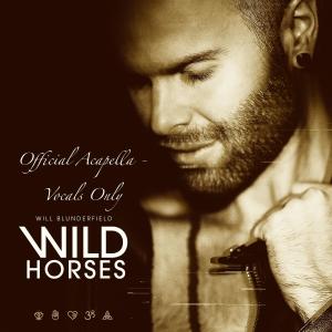 ดาวน์โหลดและฟังเพลง Wild Horses (Acapella Version) พร้อมเนื้อเพลงจาก Will Blunderfield
