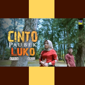 Dengarkan Salimuik Malam lagu dari Ayesa dengan lirik