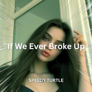 Album If We Ever Broke Up (Sped Up) (Explicit) from SPEEDY TURTLE