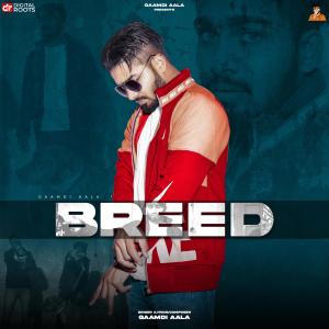 收听Gaamdi Aala的Breed歌词歌曲