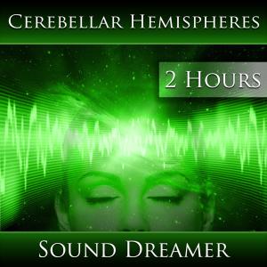 Cerebellar Hemispheres (2 Hours)