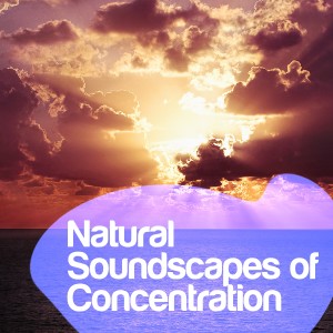 Exam Study Nature Music Nature Sounds的專輯Natural Soundscapes of Concentration