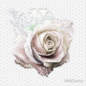 อัลบัม Oh Yeah ศิลปิน WHOwho (후후)