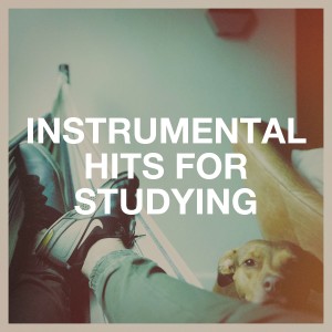 The Cover Lovers的专辑Instrumental Hits for Studying