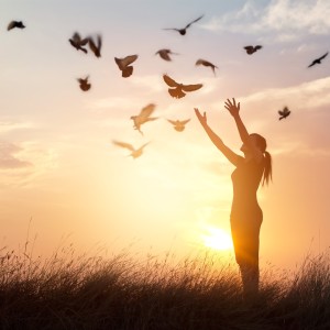 收聽Relaxing Music For You的Natural Music歌詞歌曲