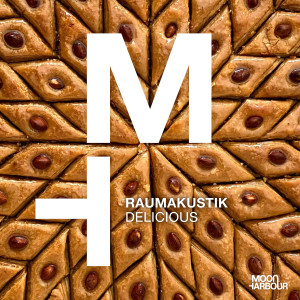 Raumakustik的專輯Delicious