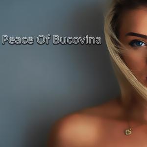 Proggers的專輯Peace Of Bucovina