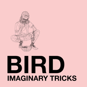 ดาวน์โหลดและฟังเพลง Bird พร้อมเนื้อเพลงจาก Imaginary Tricks