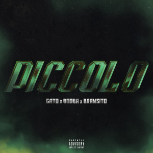 ดาวน์โหลดและฟังเพลง Piccolo (Explicit) พร้อมเนื้อเพลงจาก Gato