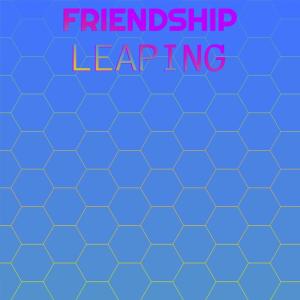 Album Friendship Leaping from Various