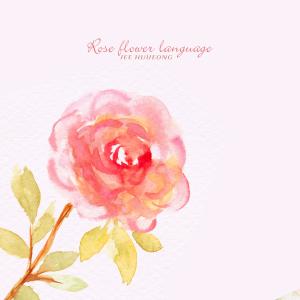 Album Rose Flower Language from Korea Various Artists