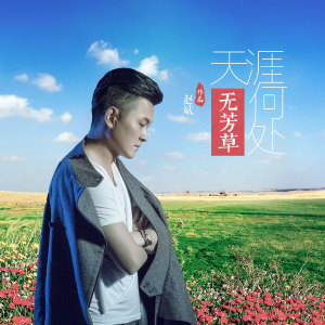 Album 天涯何处无芳草 oleh 赵斌