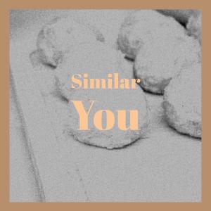 Album Similar You from Various
