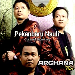 Dengarkan PEKANBARU NAULI lagu dari Arghana Trio dengan lirik