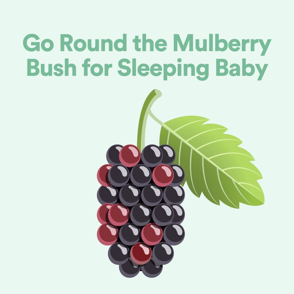 Mulberry Bush Gentle Nursery Rhyme