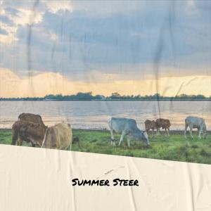 Album Summer Steer from Kene Cins