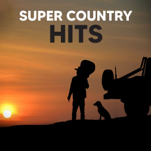 Album Super Country Hits from Various
