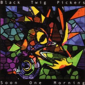 ดาวน์โหลดและฟังเพลง Have You Been To Alabama? พร้อมเนื้อเพลงจาก Black Twig Pickers