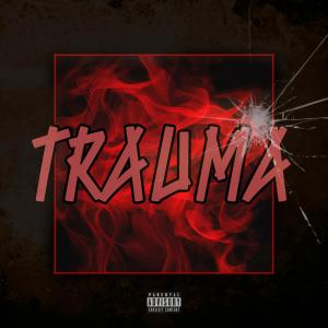 ดาวน์โหลดและฟังเพลง Trauma (Explicit) พร้อมเนื้อเพลงจาก Vylanous