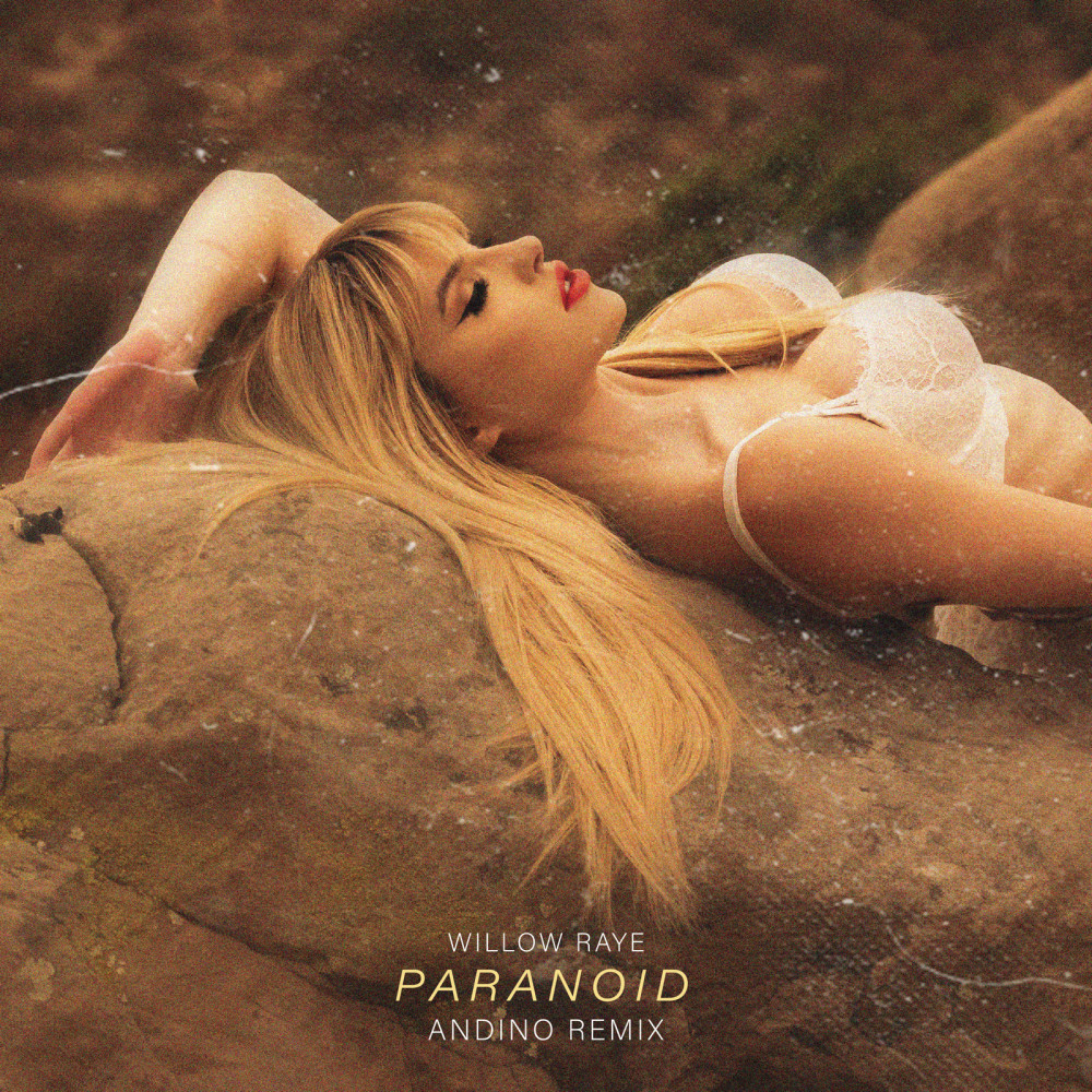 Paranoid (Remix)
