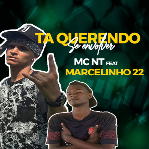 ดาวน์โหลดและฟังเพลง Ta Querendo Se Envolver พร้อมเนื้อเพลงจาก DJ MARCELINHO 22