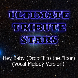 收聽Ultimate Tribute Stars的Pitbull feat. T-Pain - Hey Baby (Drop It To The Floor) (Vocal Melody Version)歌詞歌曲