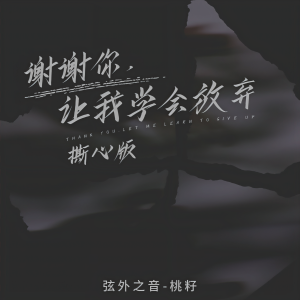 收聽弦外之音的謝謝你，讓我學會放棄 (撕心版)歌詞歌曲