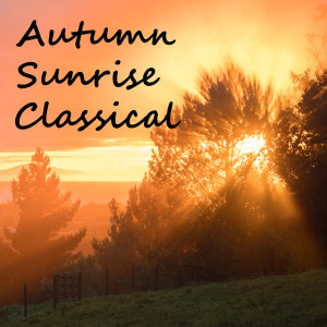 收聽Baltic States Symphony Orchestra的Iphigenia in Aulid, WQ 40: IV歌詞歌曲