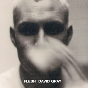 收聽David Gray的Flesh歌詞歌曲