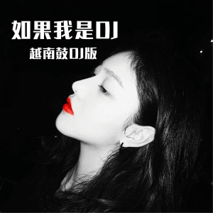 收聽DJ多多的如果我是DJ (越南鼓版)歌詞歌曲