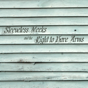 ดาวน์โหลดและฟังเพลง Give It a Rest พร้อมเนื้อเพลงจาก Sleeveless Meeks and the Right To Bare Arms
