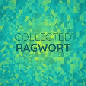 收听Mohamet Moung的Collected Ragwort歌词歌曲