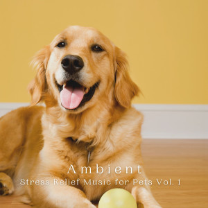 Ambient: Stress Relief Music for Pets Vol. 1 dari Relaxing Dogs