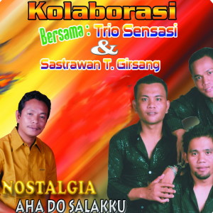 Listen to Pulungan Ni Ubat song with lyrics from Sastrawan Tarigan