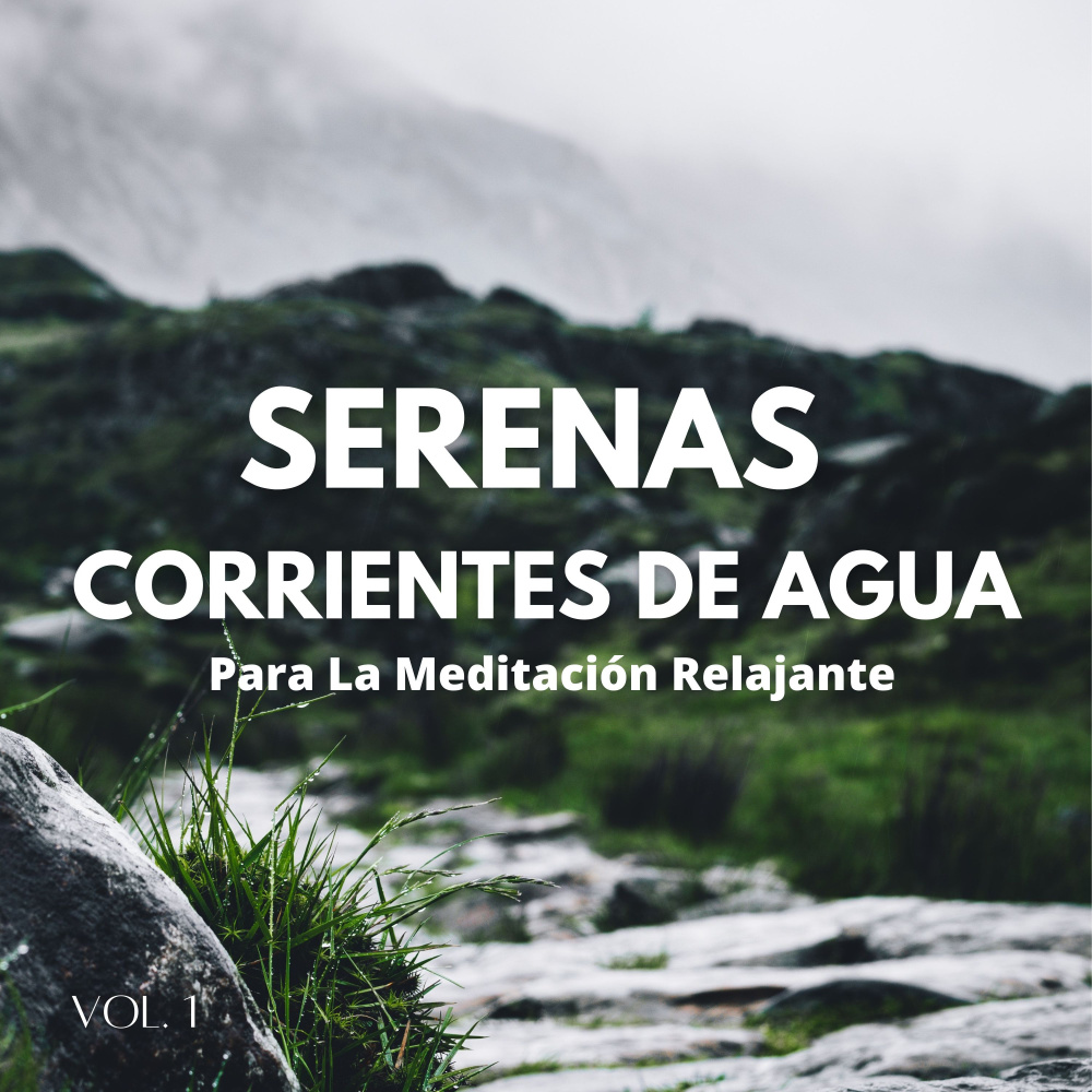 Bosque Con Aguas Profundas