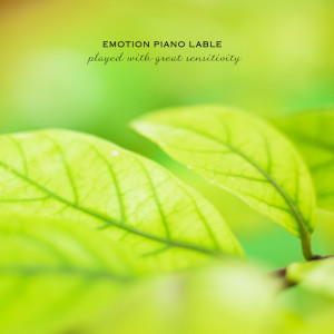 Listen to I Wish You Well song with lyrics from Korea Various Artists