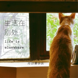 收聽向日葵樂隊的和你一起去海南島歌詞歌曲